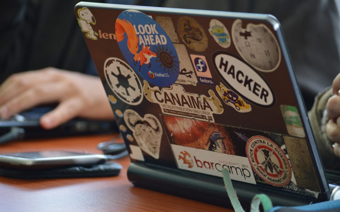 Here‘s How The Top Startup Investors Choose Their Investments