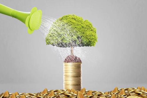 What Is Cash Flow And Why It Is Important