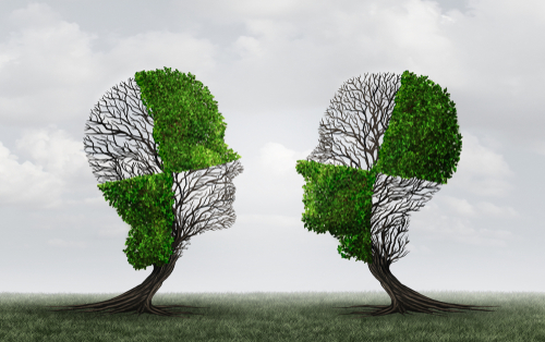 How To Communicate With Investors