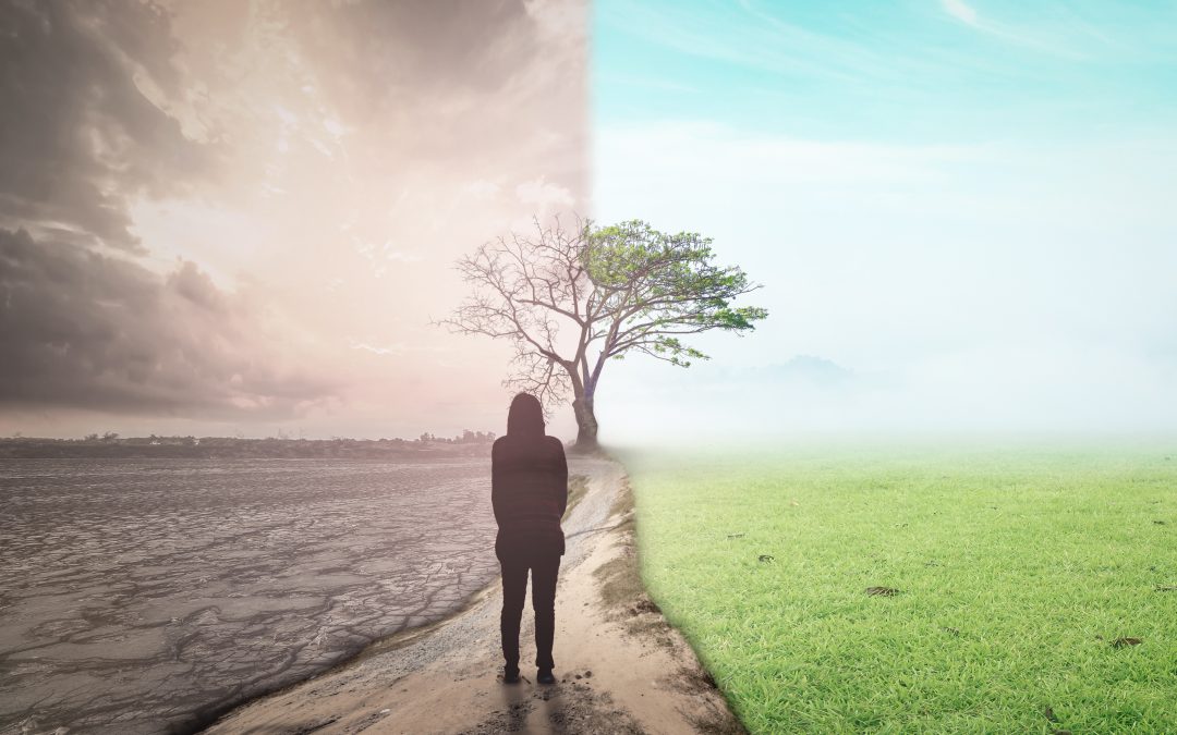 How To Pivot Your Business During Crisis